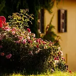 Casa Pietraia * Certaldo