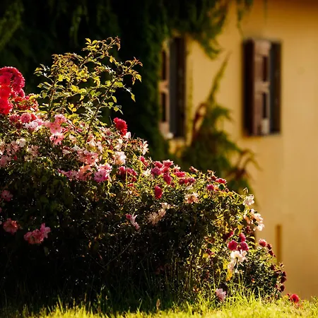Casa Pietraia * Чертальдо