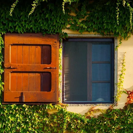 Tatil Evi Casa Pietraia *