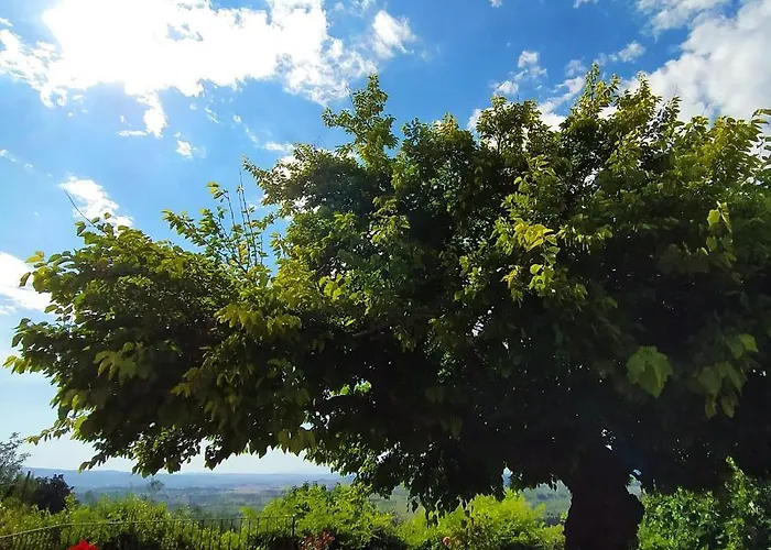 Tatil Evi Casa Pietraia *