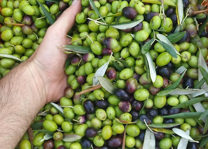 Tatil Evi Casa Pietraia *