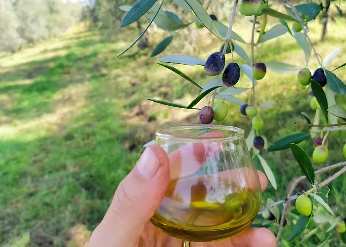 Casa Pietraia Tatil Evi *