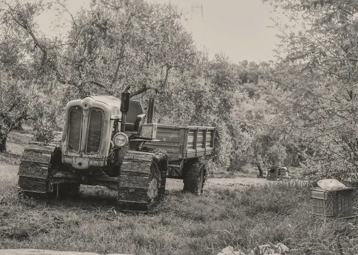 Casa Pietraia Tatil Evi *