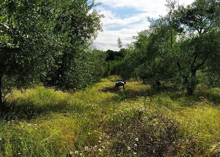 Casa Pietraia Tatil Evi Certaldo