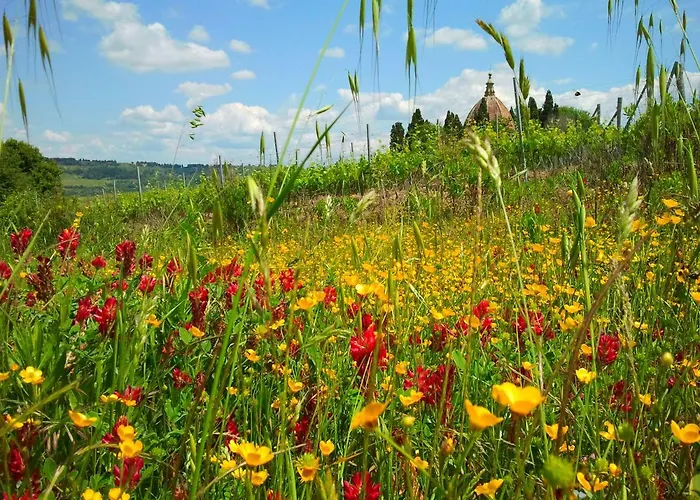 Casa Pietraia Tatil Evi Certaldo