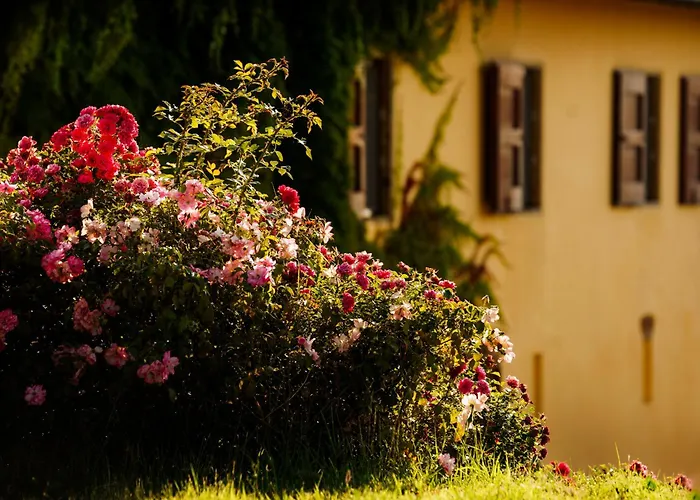 Casa Pietraia * Certaldo